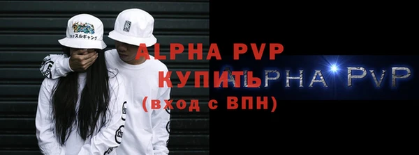 хмурый Новозыбков