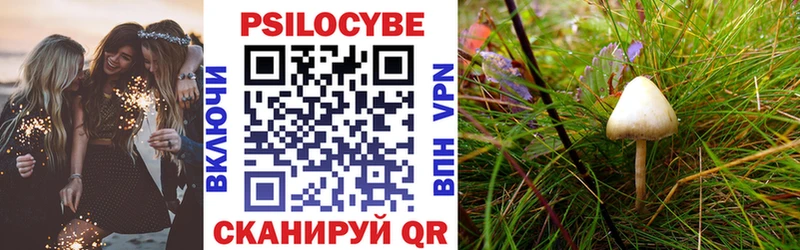 закладки  darknet клад  Псилоцибиновые грибы мицелий  Ялуторовск 