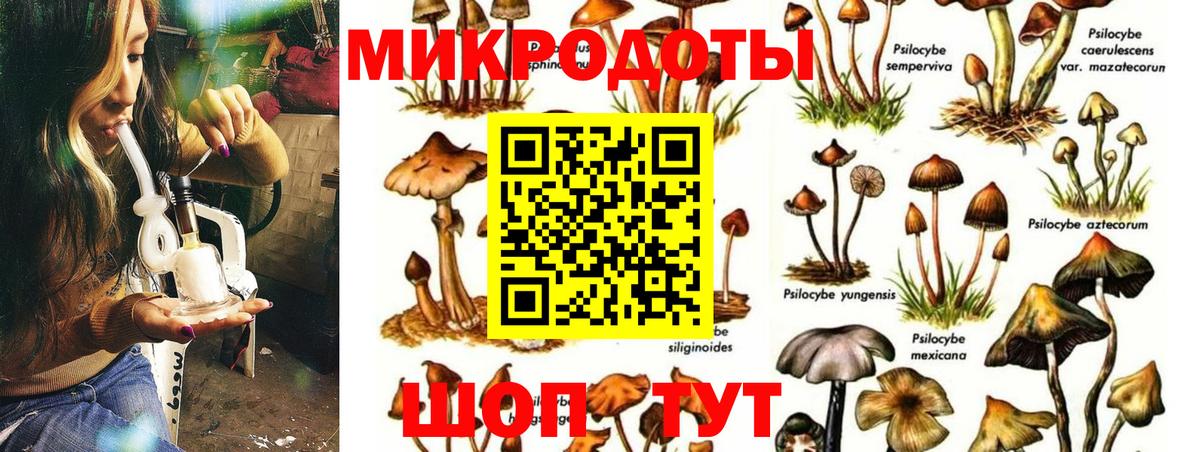 Псилоцибиновые грибы Magic Shrooms Ялуторовск